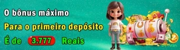 Termos e Condições
